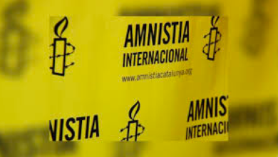 Amnistía Internacional al descubierto